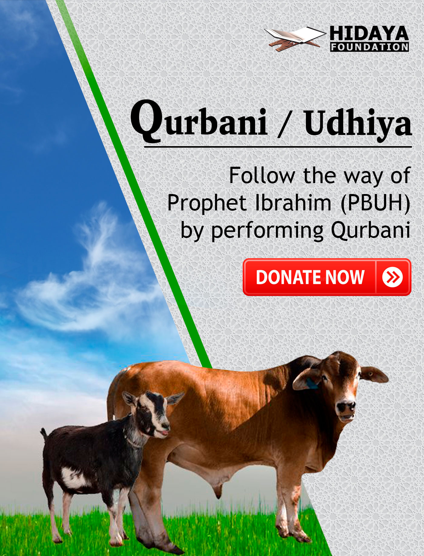 Qurbani Campaign Hidaya Foundation